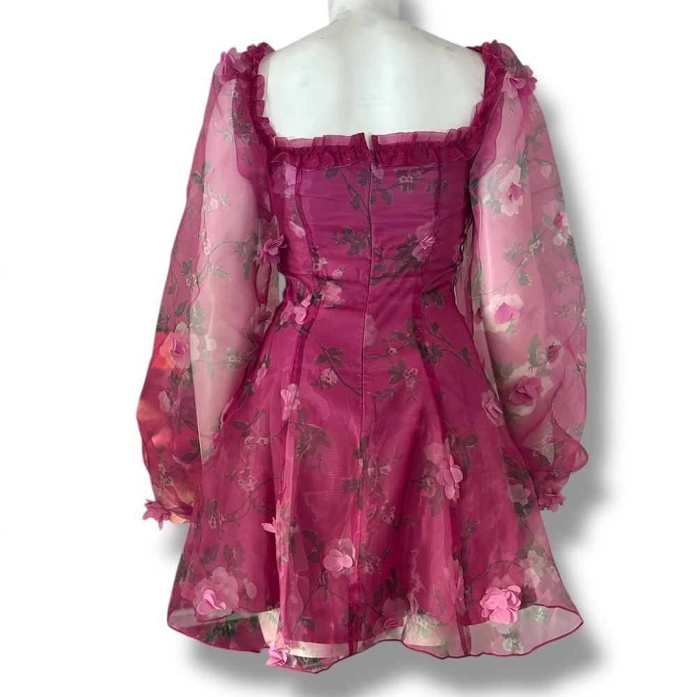 DollsKill | Sugar Thrills Y2K 3-D floral Appliqué Sheer Overlay Mini Dress - Picture 2 of 6